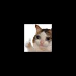 Миниатюра к 