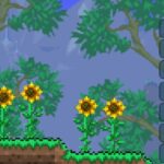 Миниатюра к 